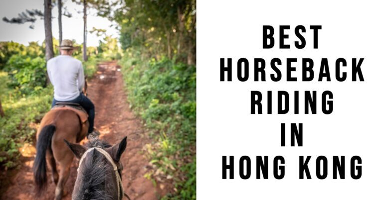 4 Best Horseback Riding In Hong Kong (2024)